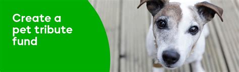 About Pet Tribute Funds .